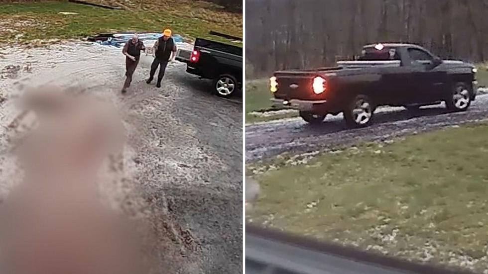 Men Caught On Video Poaching a Deer In New York – Do You Recognize Them?