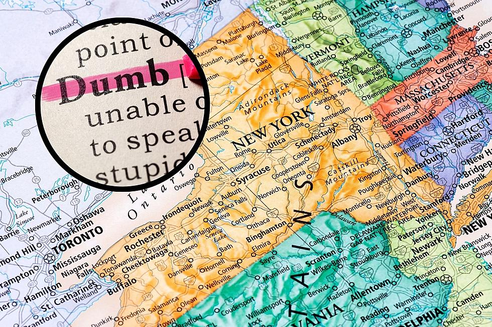 See The 10 Dumbest Cities In New York [RANKED]