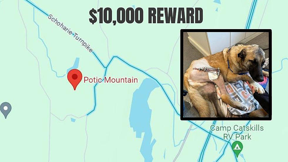 Who Shot Kolija? Reward is $10K if Info Leads to Greene County Shooter