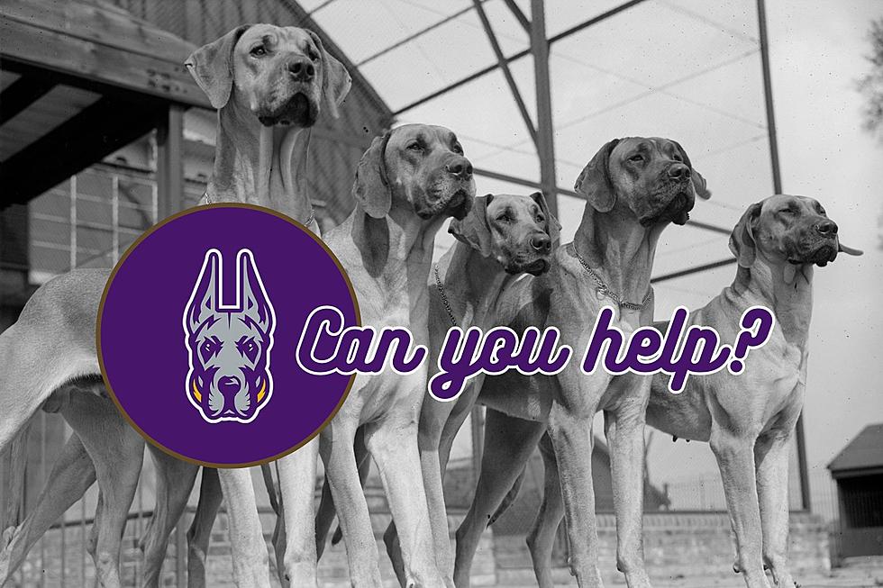UAlbany Great Danes Taking 'Paws' & Helping 22 of Their Own