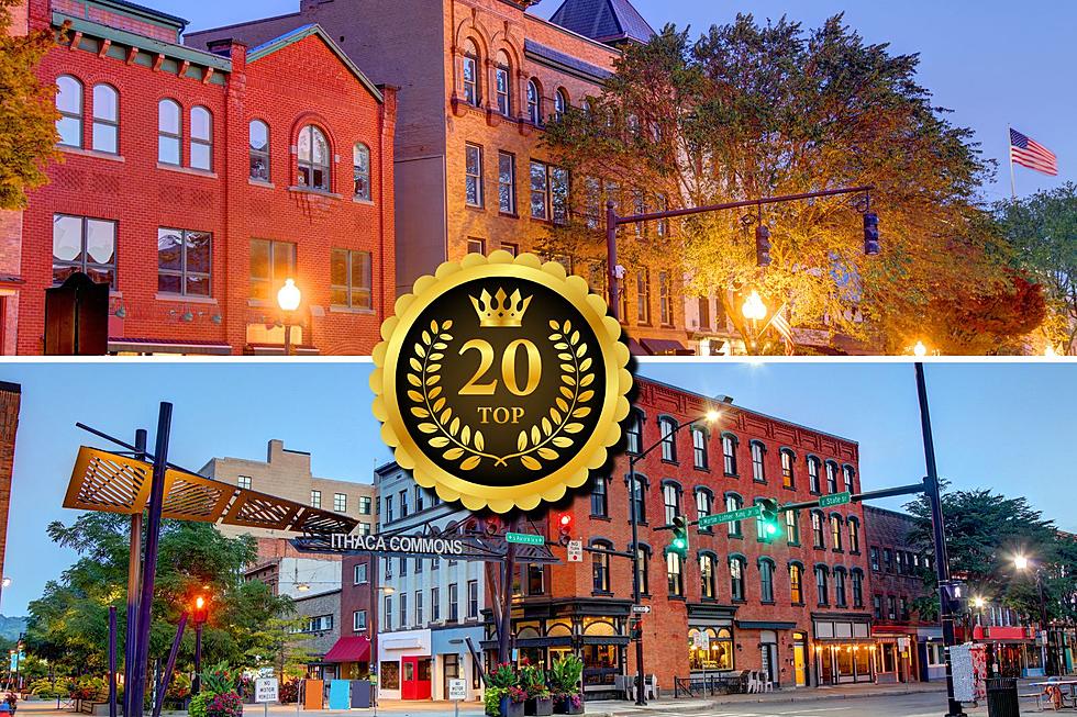 Top 20 Small College Towns In US-Upstate NY Has Two