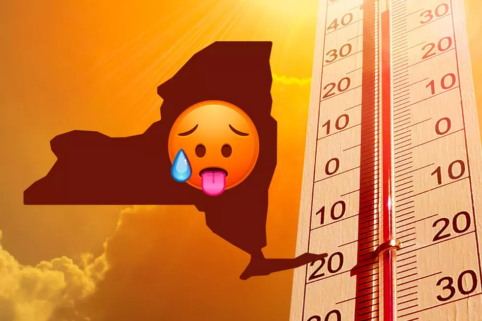 Forecasters Predict &#8216;Abnormally Hot&#8217; New York Summer