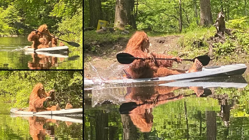 Anyone Else See Bigfoot in the Upstate Adirondacks this Weekend?