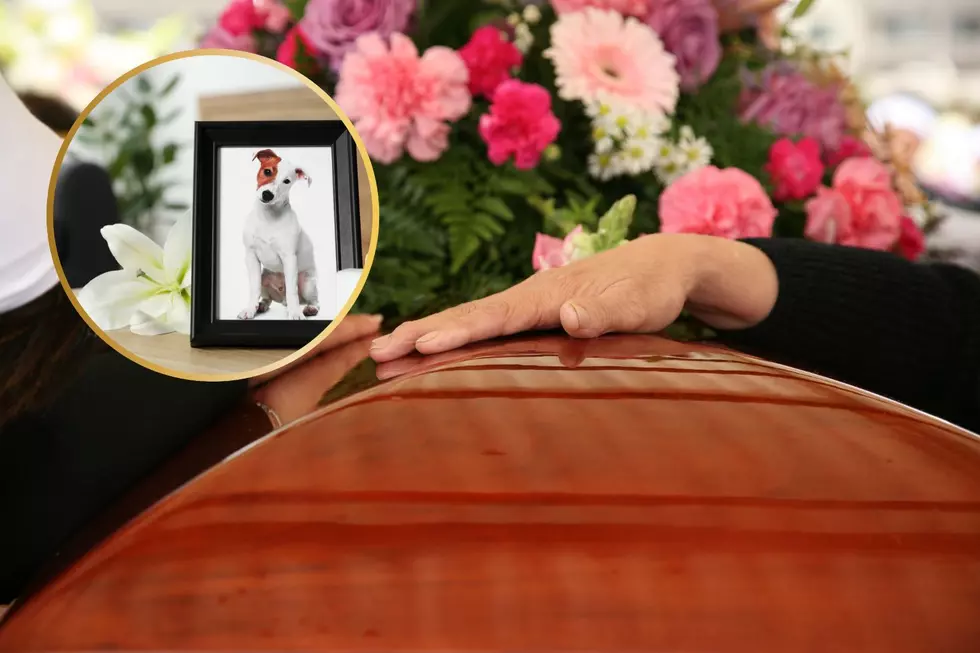 Can You Bury Your Furry Friend With You When You Die?
