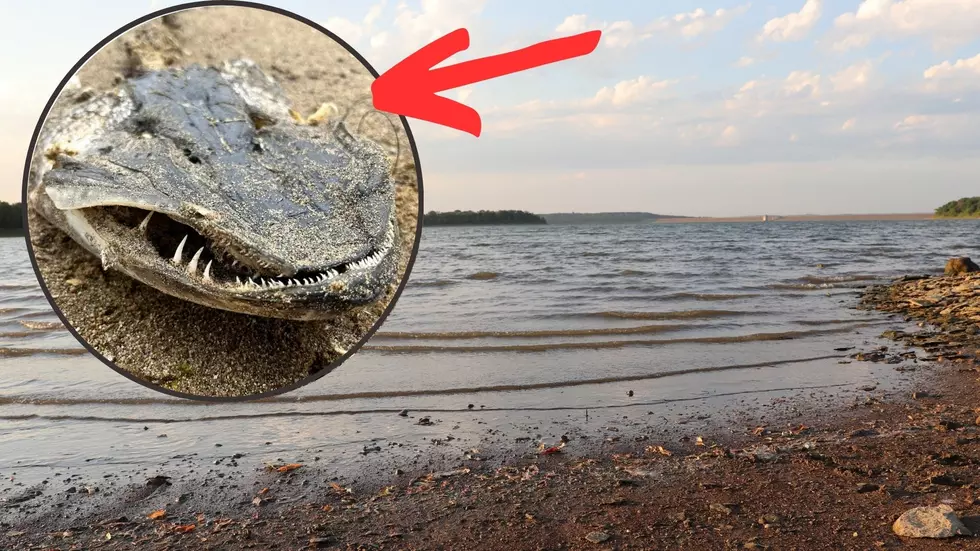 Woman Makes Frightening Find On Upstate NY Beach, What Is It?