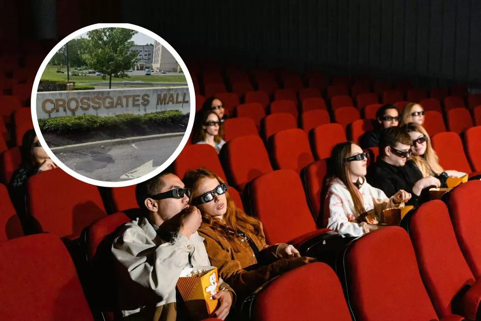 Capital Region Cinema Announces $1 Summer Family Movie Series