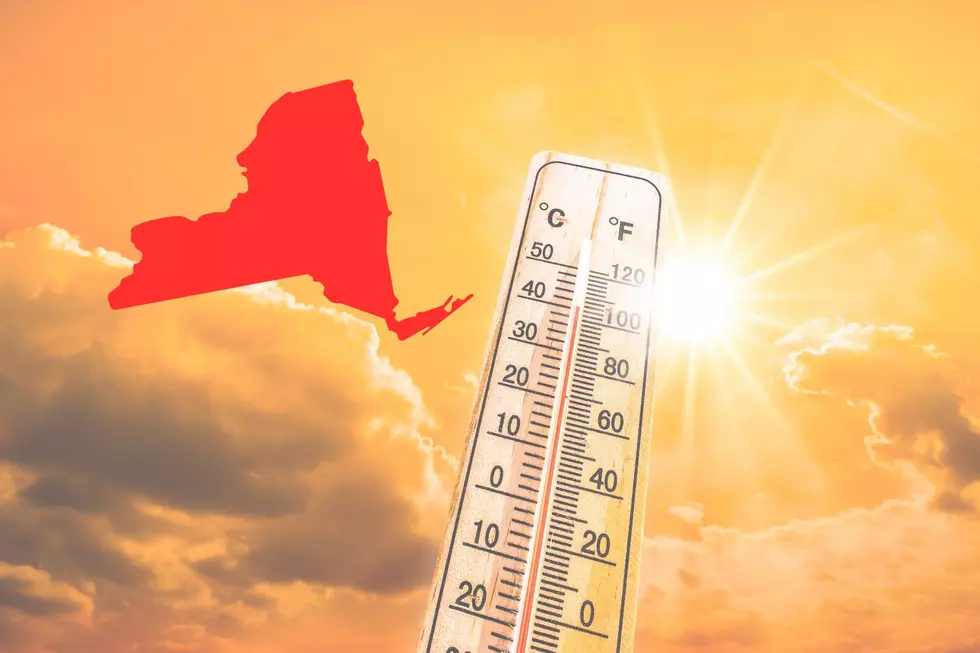 NY’s Hottest Day Ever Happened In This Capital Region City