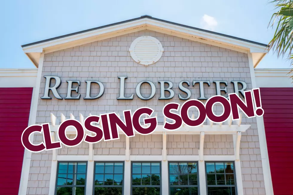 More Red Lobsters Closing: Capital Region On The Chopping Block