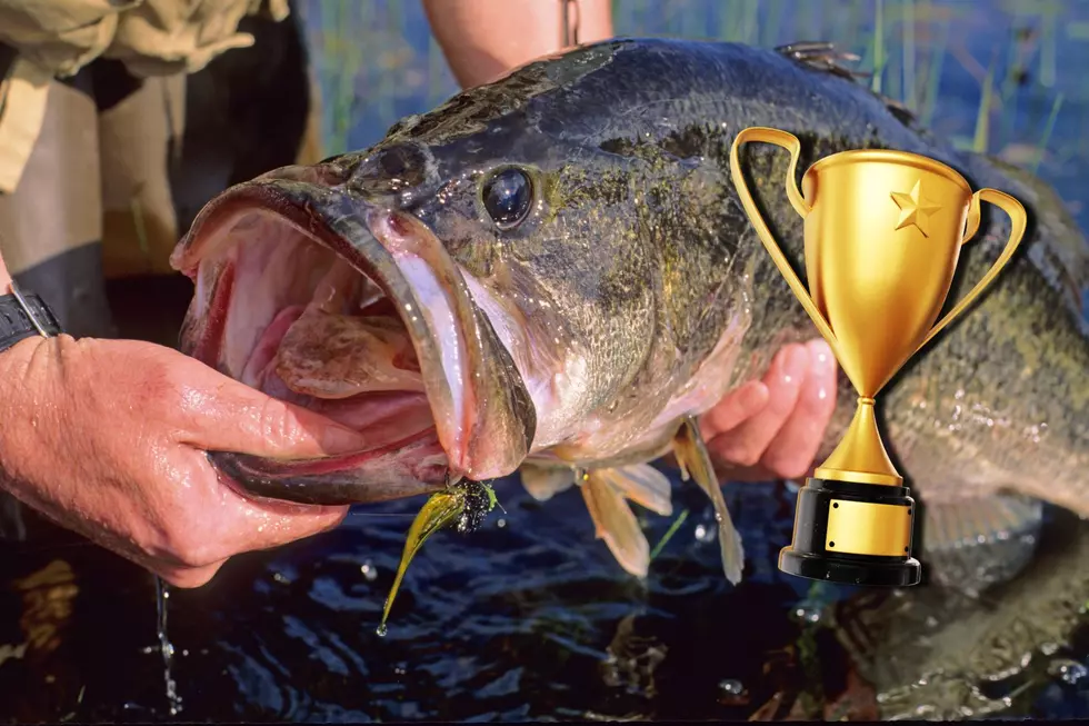 Big Bass Breaks 37 Year New York State Record!