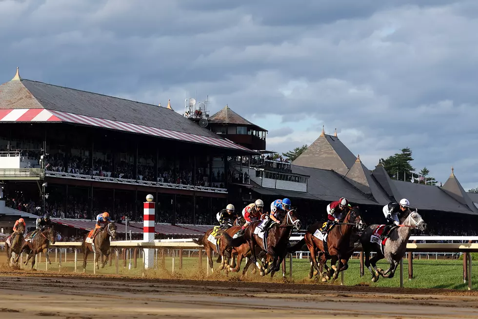 156th Belmont Stakes saratoga police looking for a horse to add to their mounted unit, upstate new york police department looking for a horse, 518-new, 518news