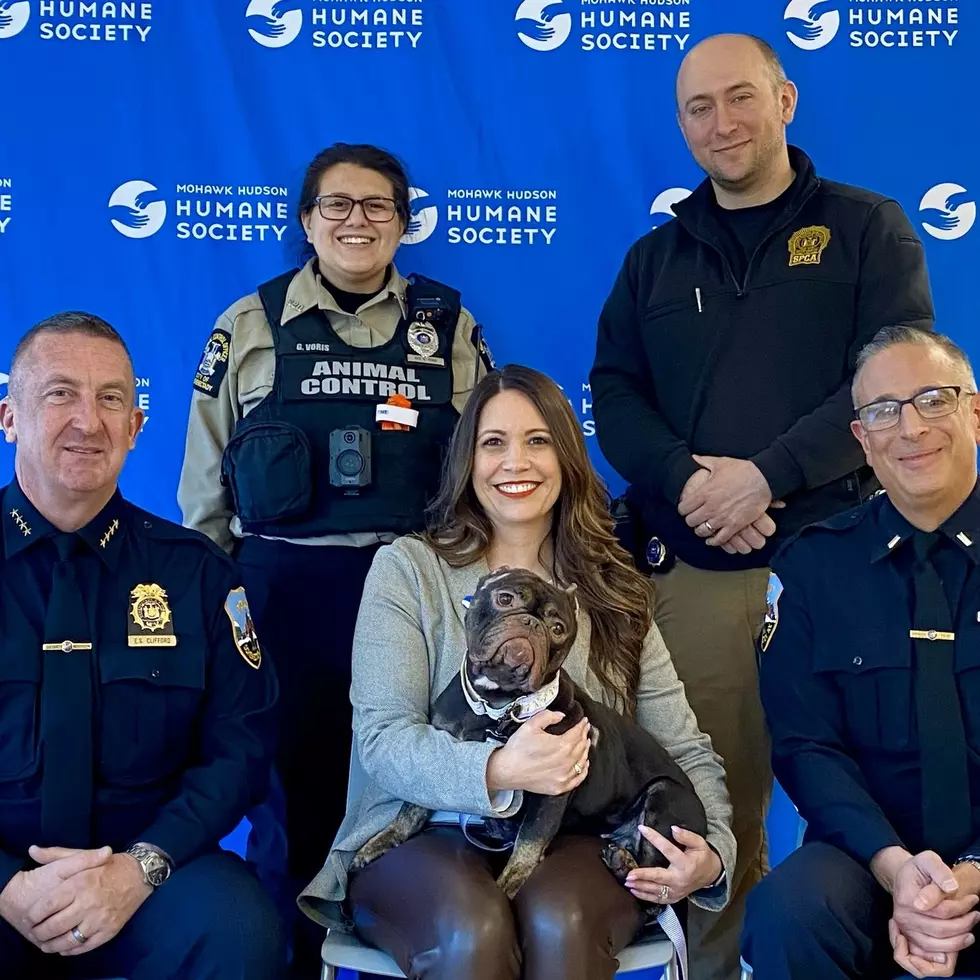 Lavender meets the heroes who rescued her a few weeks ago. Photo: MHHS