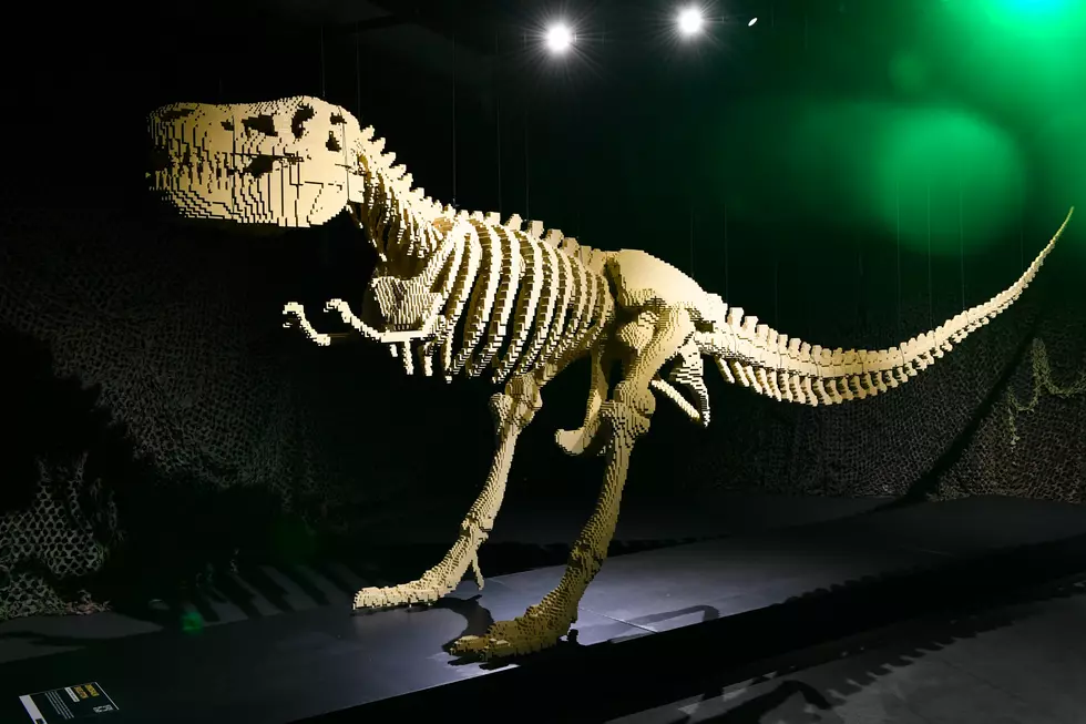 "Art Of The Brick" Exhibition