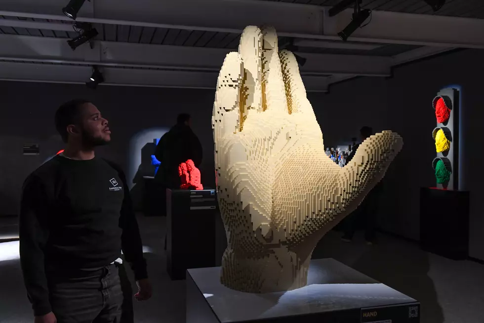 "Art Of The Brick" Exhibition