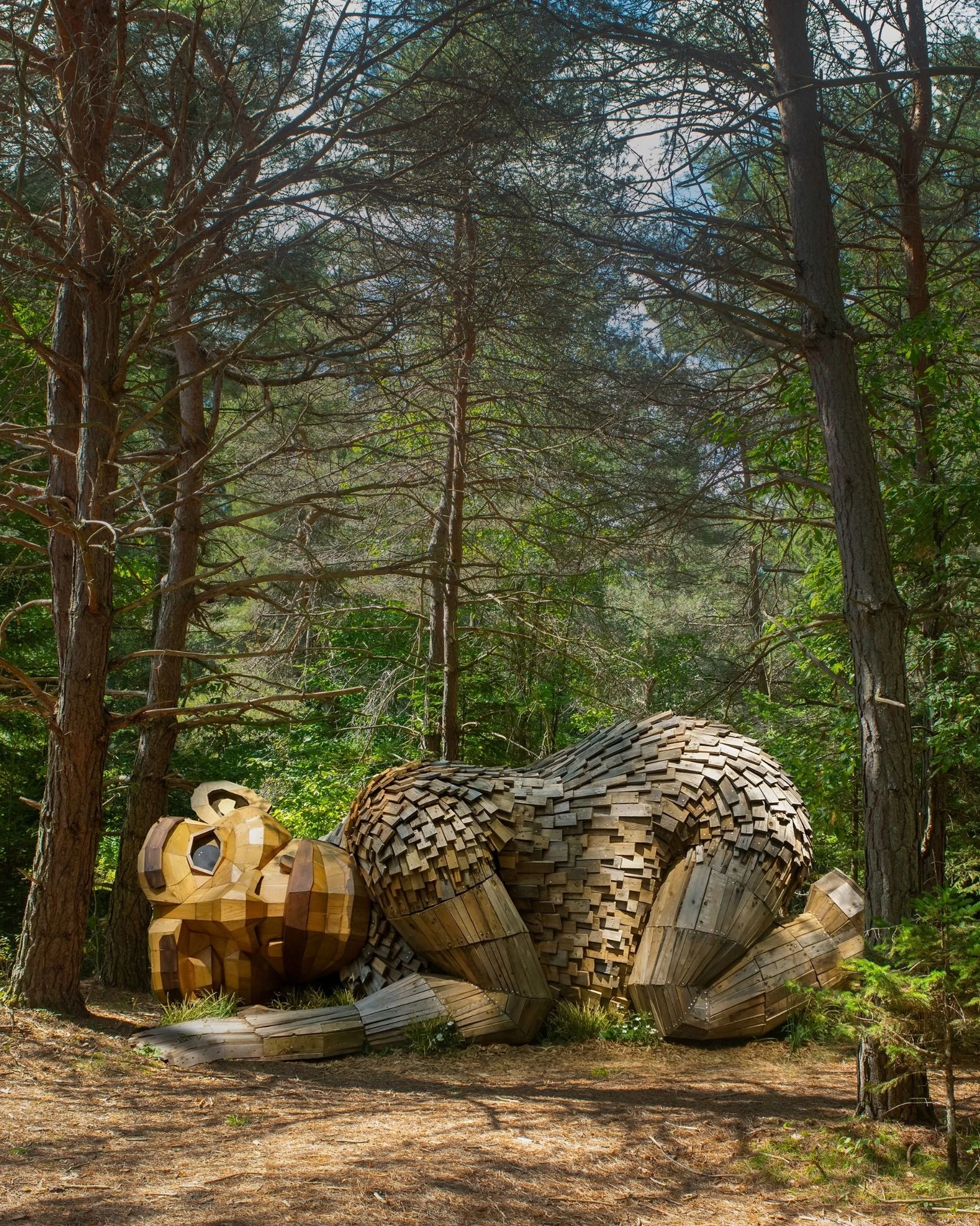 Troll Season Is Officially Open in the Adirondacks