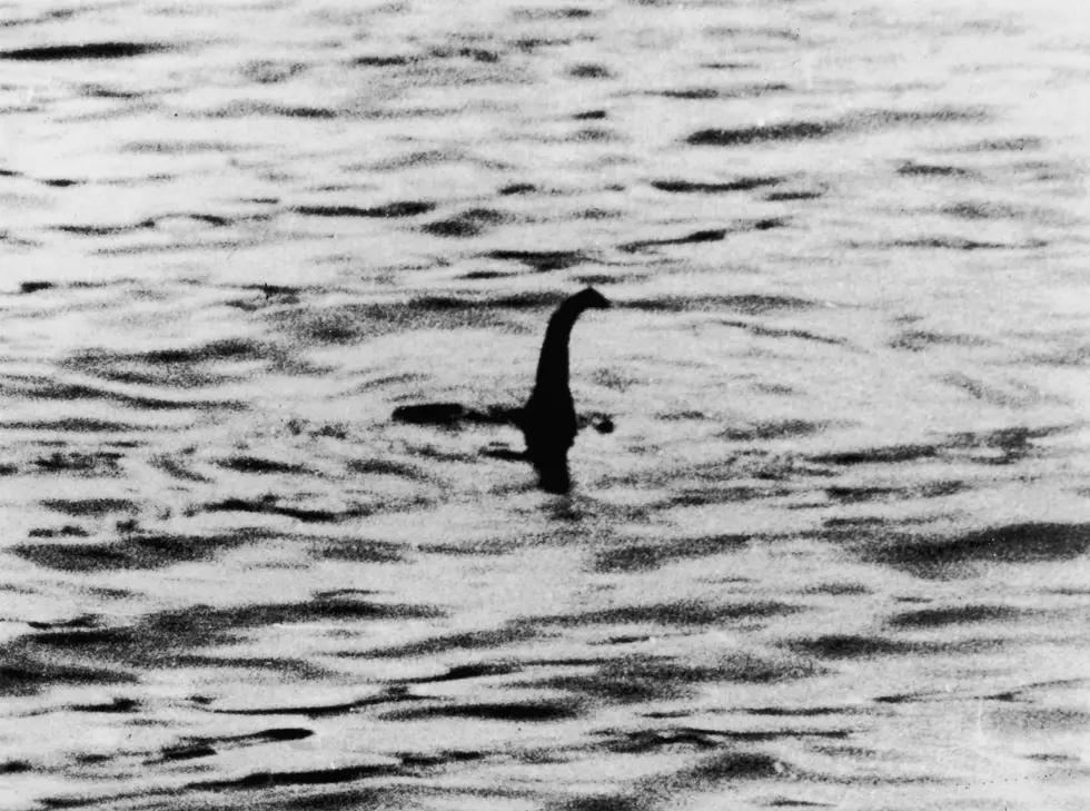 A view of the Loch Ness Monster, near Inverness, Scotland, April 19, 1934. The photograph, one of two pictures known as the 'surgeon's photographs,' was allegedly taken by Colonel Robert Kenneth Wilson, though it was later exposed as a hoax by one of the participants. Photo: Getty Images