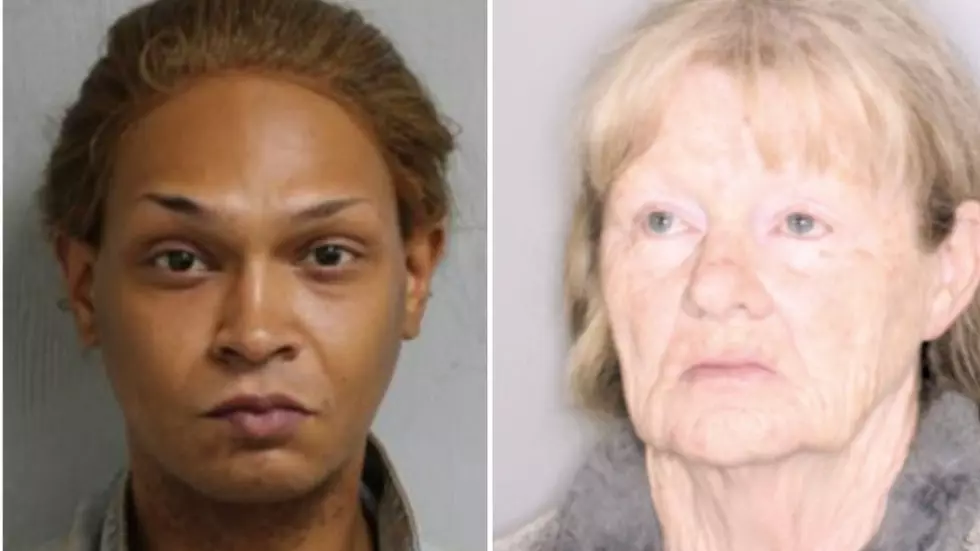 See the 42 People Listed on Albany County’s Animal Abuse Registry