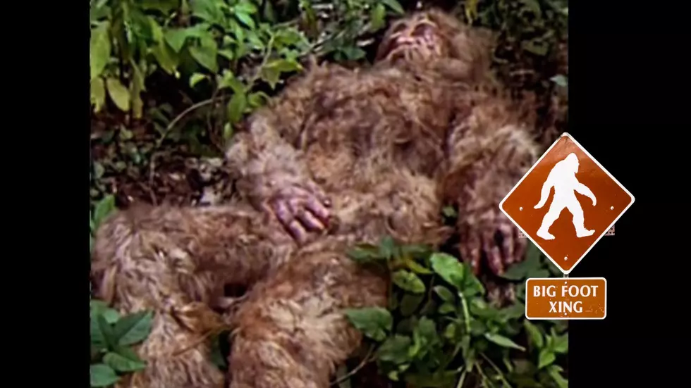 Adirondack Bigfoot Hunter Says DNA Proves Sasquatch Is Real