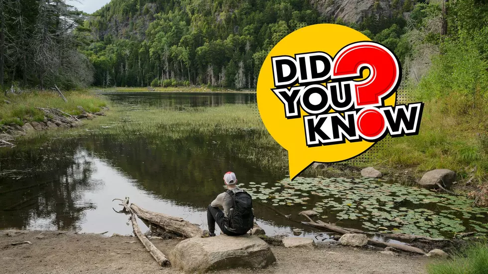 Even Lifelong New Yorkers May Not Know These 30 Adirondack Facts