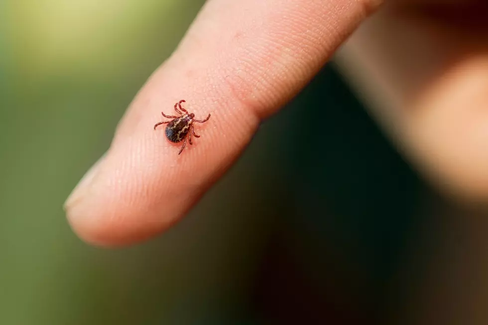 New Virus Confirmed in New York with No Treatment