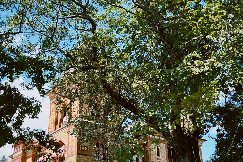 Inside Olana: New York’s Terraforming Masterpiece