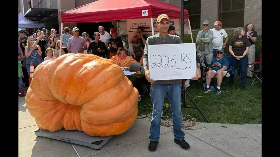 Pumpkins Over 2,000 Pounds? See These Monsters in Saratoga