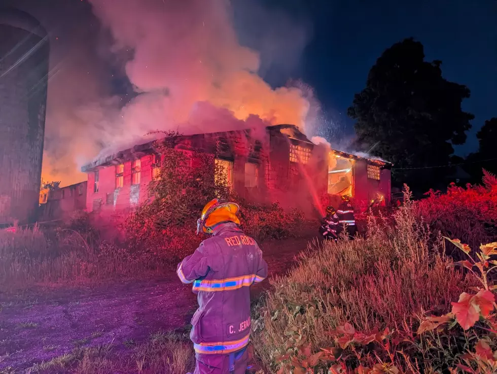 Heartbreak in Columbia County After 3 Calves Killed in Barn Fire