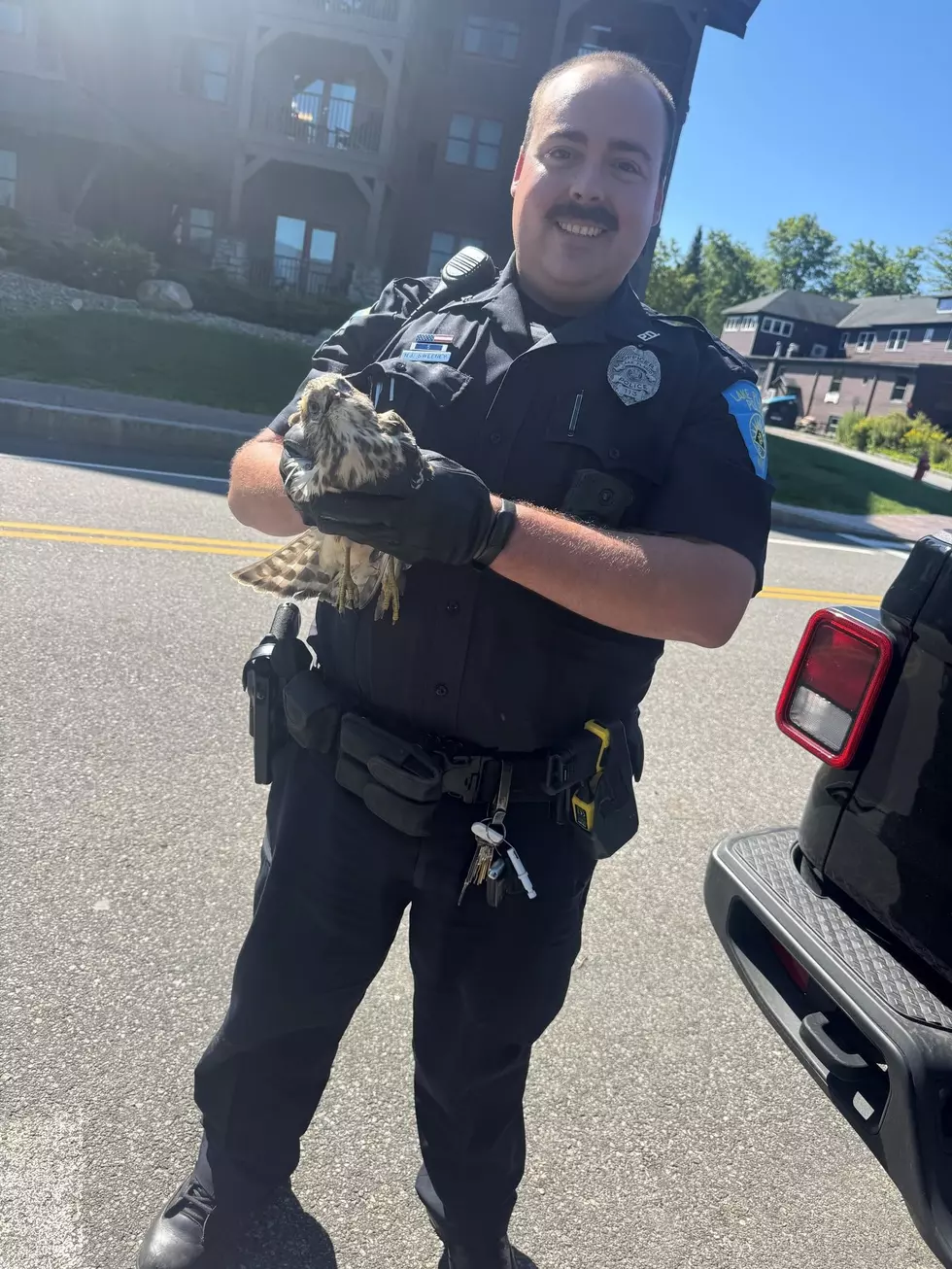 Photo: Lake Placid Police Dept Facebook