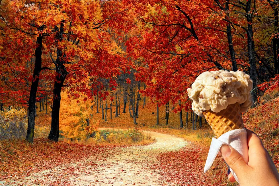 Stewarts Announces Return of Fall Flavors