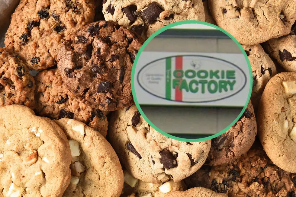 Clifton Park & Troy Say Goodbye: Beloved Cookie Factory to Close After 20 Years