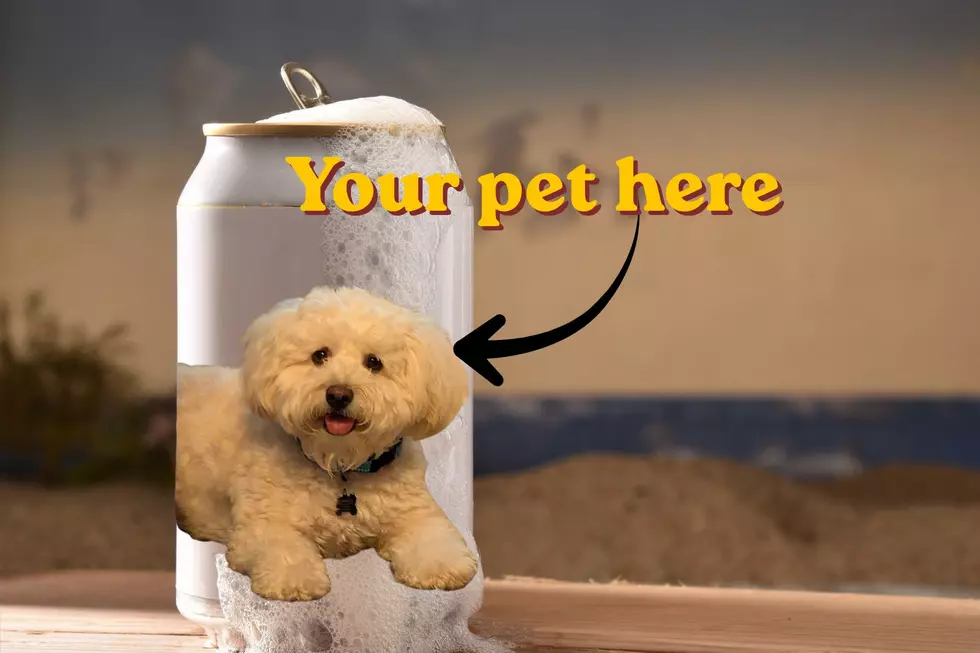 Your Pet Could Become the Face of a Popular Upstate New York Beer