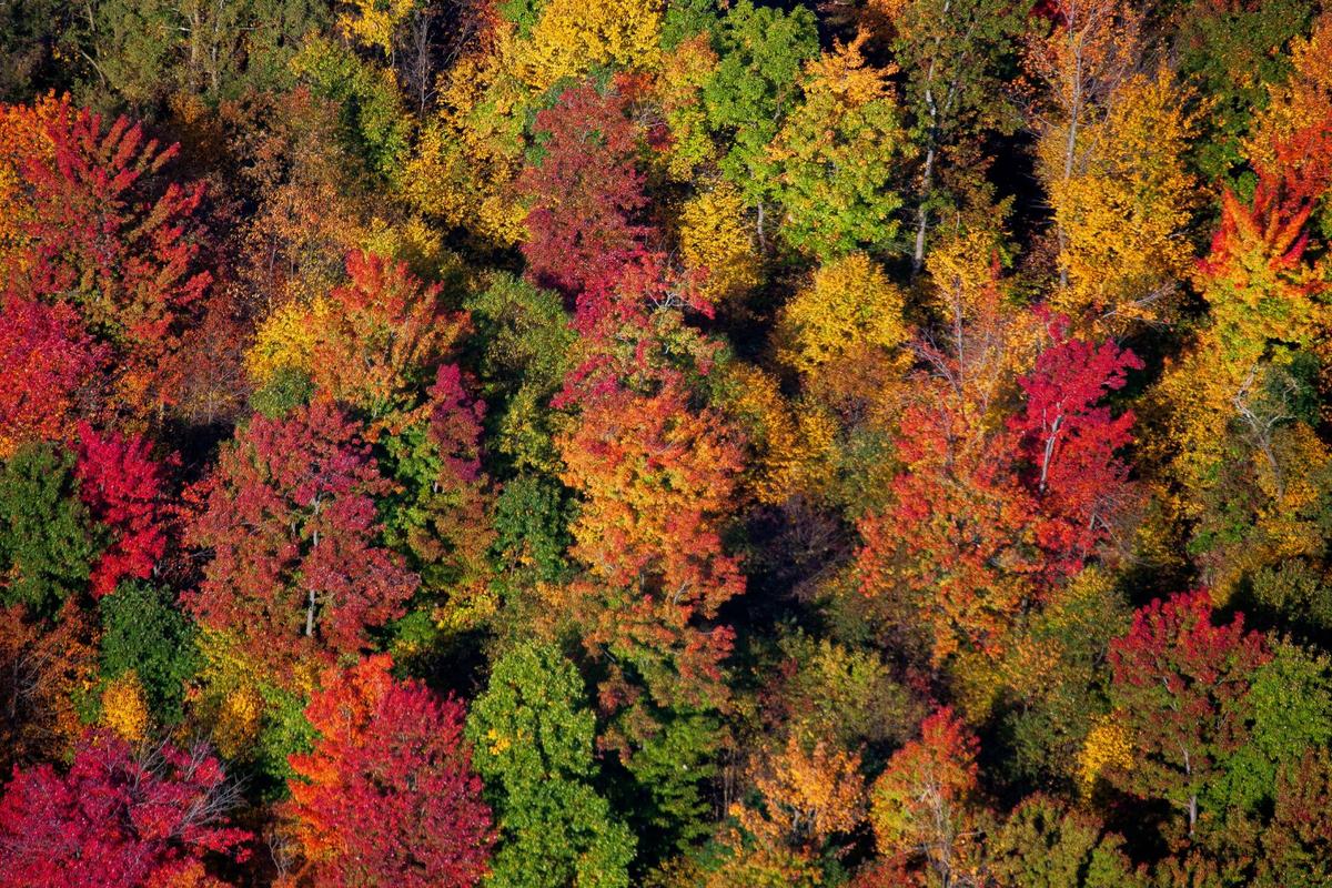 Fall Color Run Drive How To See Fall Colors From Above In The Northeast