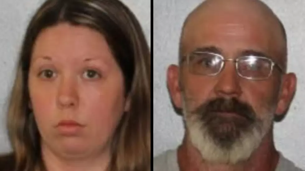 Dogs, Cats, Hedgehog Among 17 Animals in Saratoga County Neglect Case
