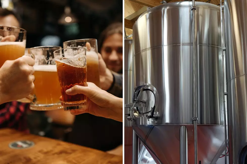 Wolf Hollow Brewing Company To Celebrate Grand Opening of Scotia Taproom