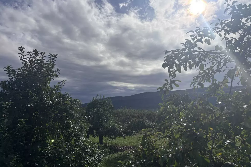 The Indian Ladder Farms Orchard
