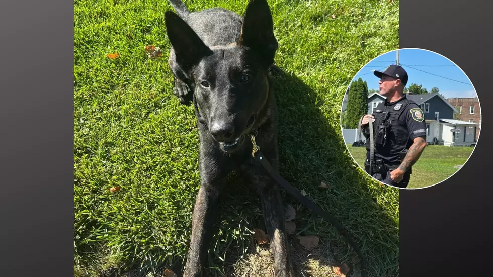 A Name That Lives On: Albany Police Introduce K9 Mika