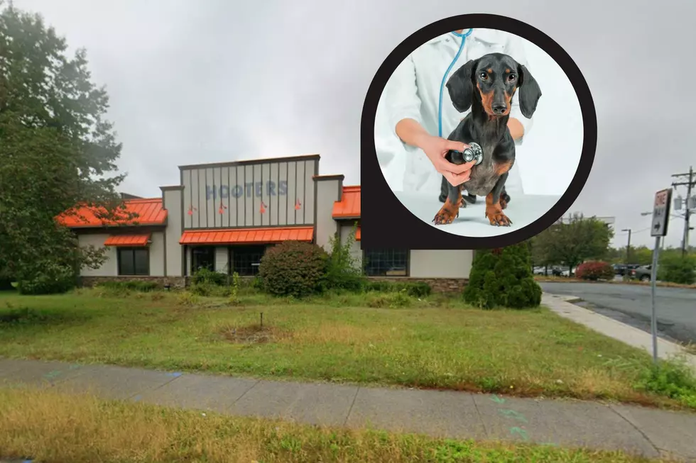 Veterinary Hospital Chain Purchases Former Hooters On Wolf Road