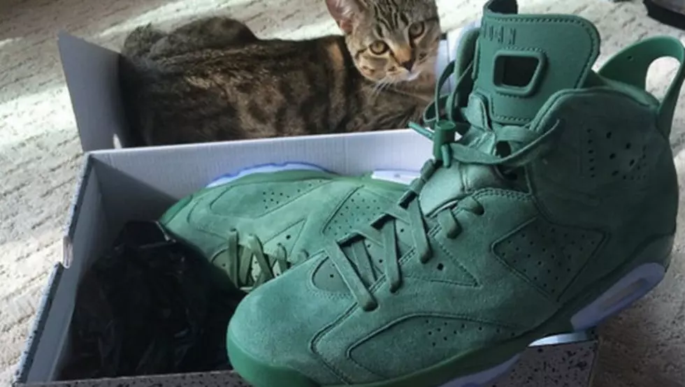 Shows Off A Pair Of Player Exclusive Air Jordan 6's - XXL