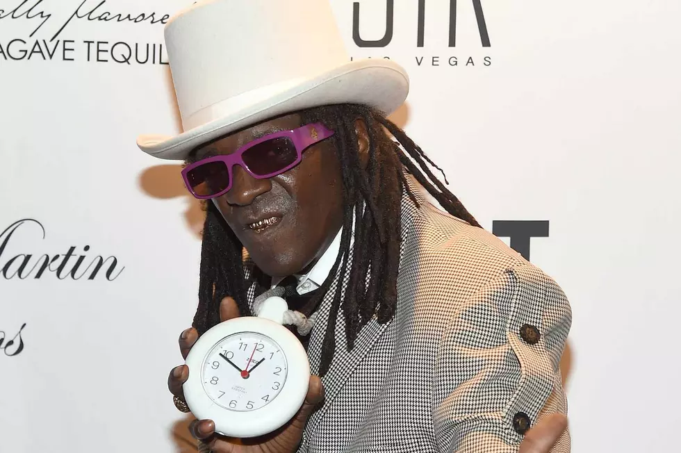 Flavor Flav Pleads Guilty in New York Traffic Stop