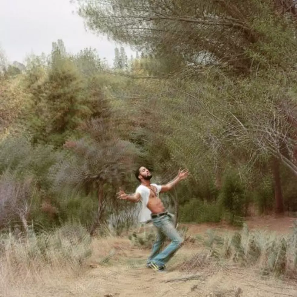 Check Out the Cover Art for Kid Cudi's New Album