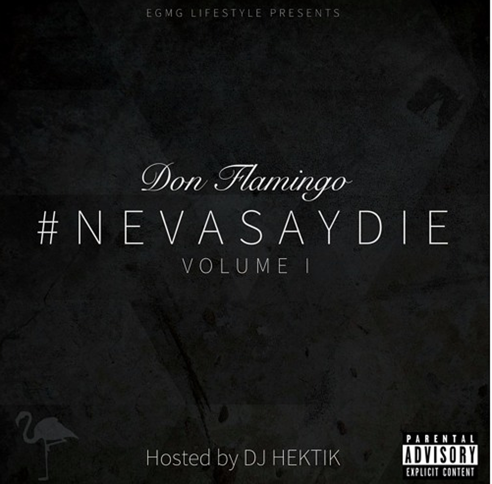 Check out Don Flamingo's Mixtape 'Neva Say Die'