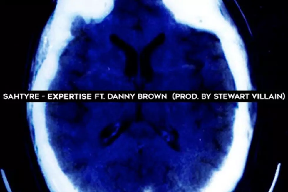 Danny Brown and Sahtyre Show Their &#8220;Expertise&#8221; on New Track