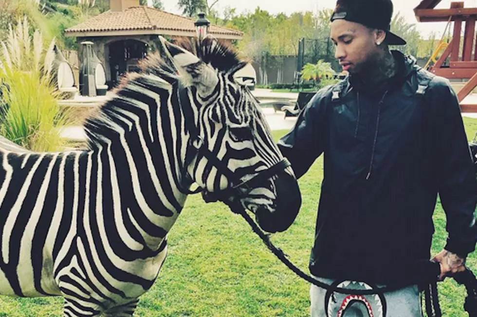 16 Pictures of Rappers With Wild Animals