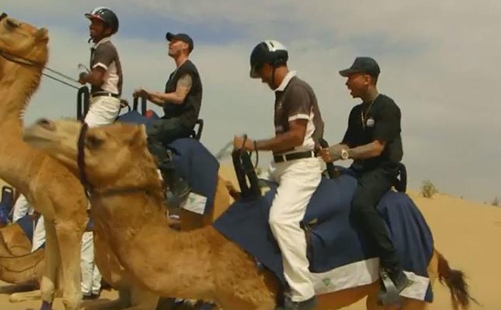 Tyga’s Terrified of Camels in ‘Kingin’ With Tyga’ Trailer