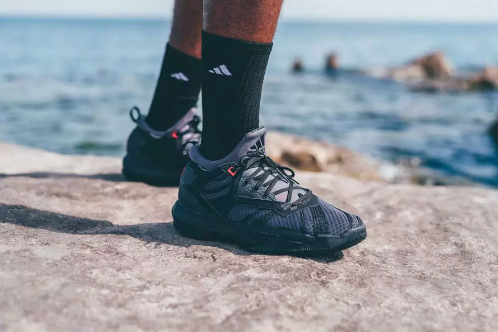 Escribe email élite petróleo Adidas and Damian Lillard Unveil Shark Black Edition Sneaker - XXL