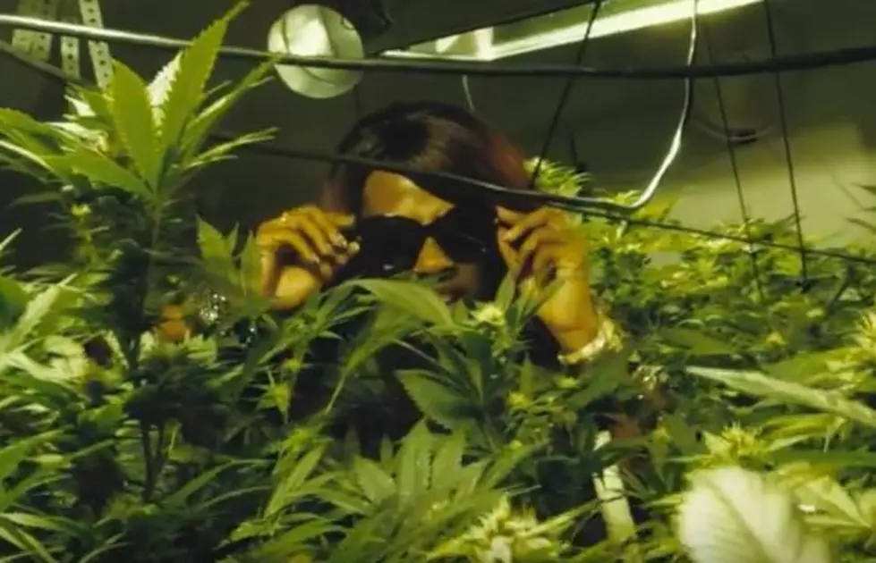 Gangsta Boo Is 'Loc'd Out Smoked Out' in New Video
