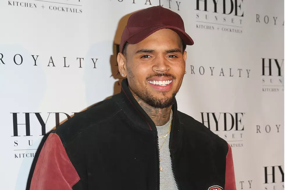 Chris Brown Could Face Jail Time for Pet Monkey