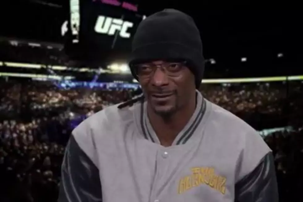 Snoop Dogg Might Have a New Career as a UFC Commentator