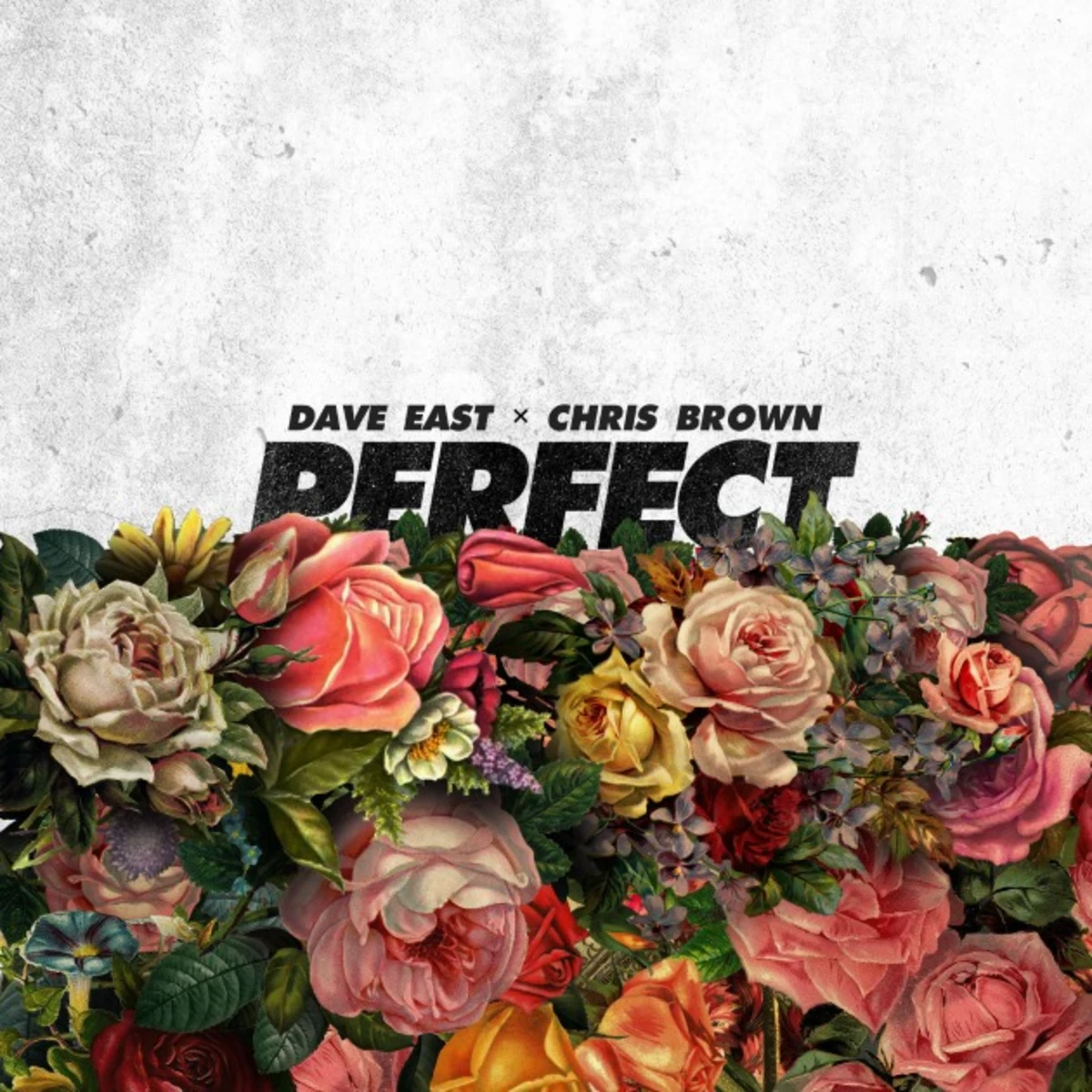 Dave East and Chris Brown Cater to the Ladies on New Song 'Perfect' - XXL