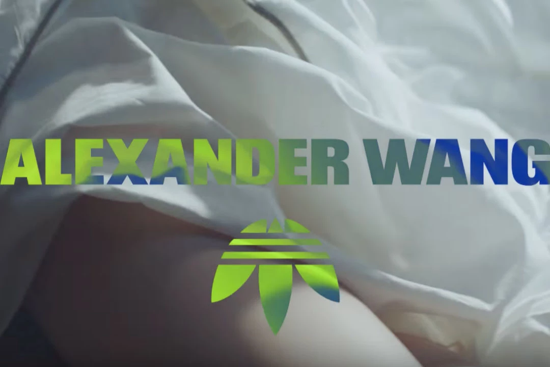 alexander wang adidas season 2