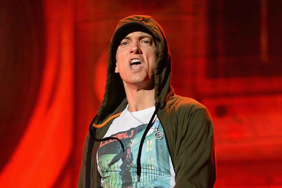 Eminem Spits a Verse on Pink's New Song ''Revenge''
